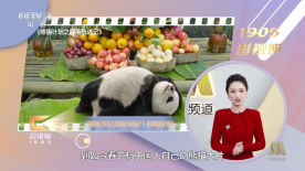 成瘾性窥视症